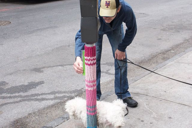 Dogs love this public art installation